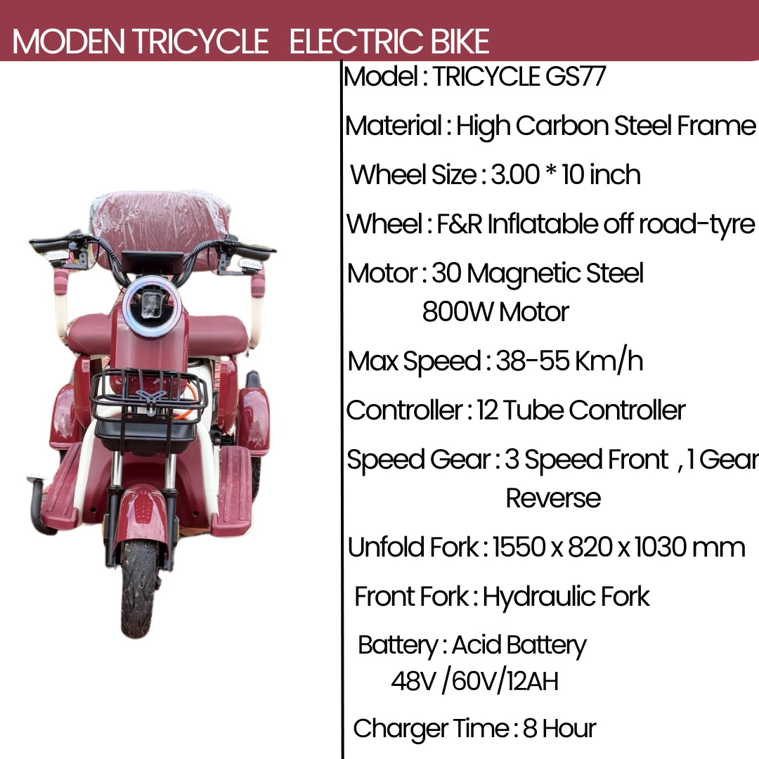EV-BIKE GS77