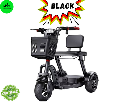 G1 FOLDING TRICYCLE 2025