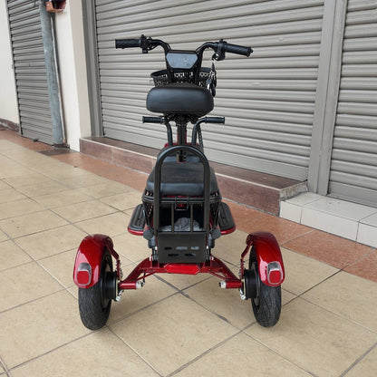 G2 FOLDING TRICYCLE 2025